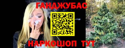ECSTASY Новозыбков