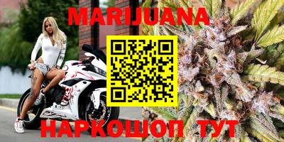 ECSTASY Новозыбков