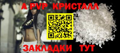 ECSTASY Новозыбков
